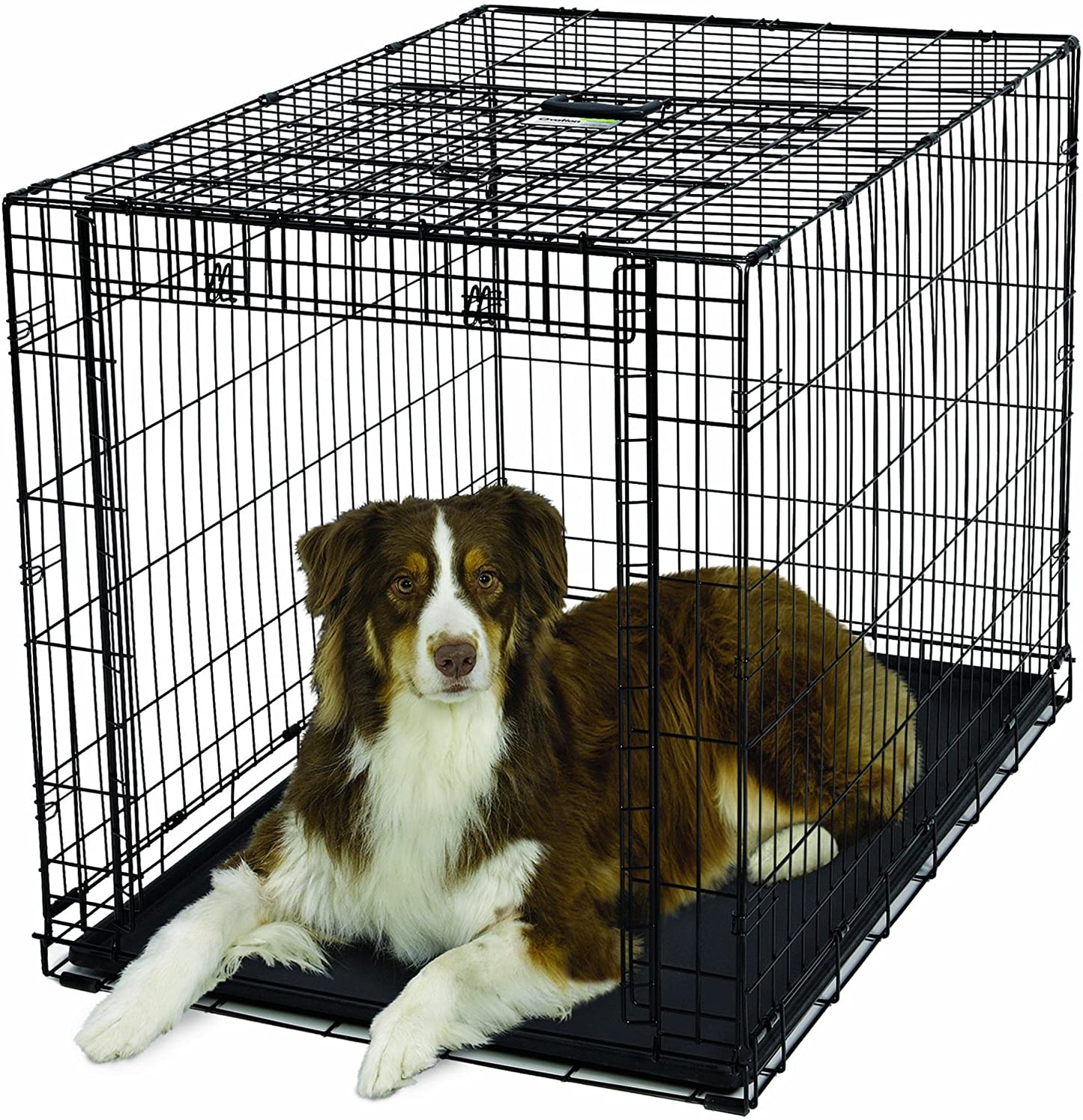 Folding Dog Crate - Ovation Single Door Crate with Up and Away Door Midwest Large - 43.75" x 28.25" x 30.50" 