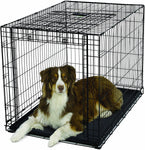Folding Dog Crate - Ovation Single Door Crate with Up and Away Door Midwest Large - 43.75" x 28.25" x 30.50" 