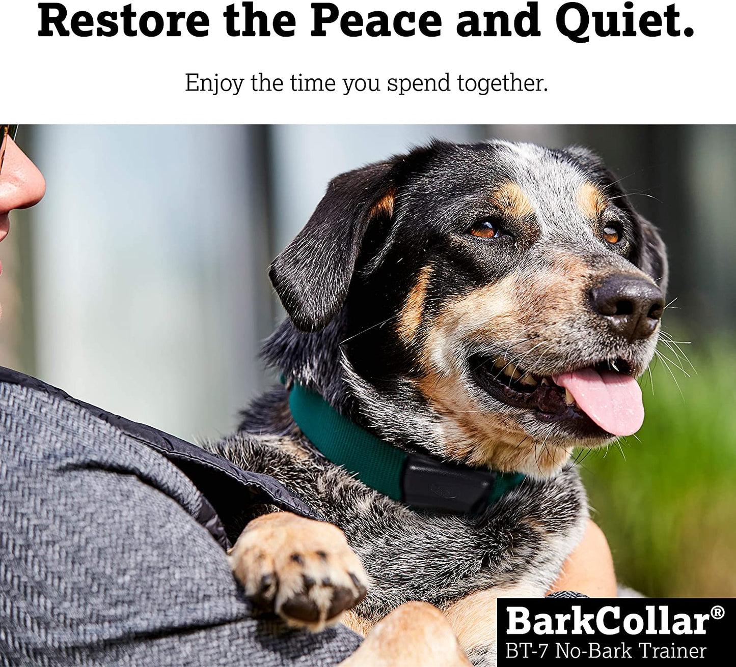 No Bark Dog Training Collar - Vibration - DogWatch BT-7 No-Bark Training Collar Bark Control DogWatch 