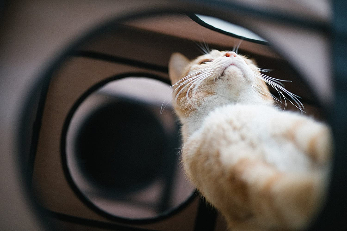 Door Hanging Cat House - 57" x 22" x 12" - K&H Pet Products Hanging Feline Funhouse K&H Pet Products 