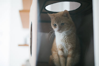 Door Hanging Cat House - 57" x 22" x 12" - K&H Pet Products Hanging Feline Funhouse K&H Pet Products 