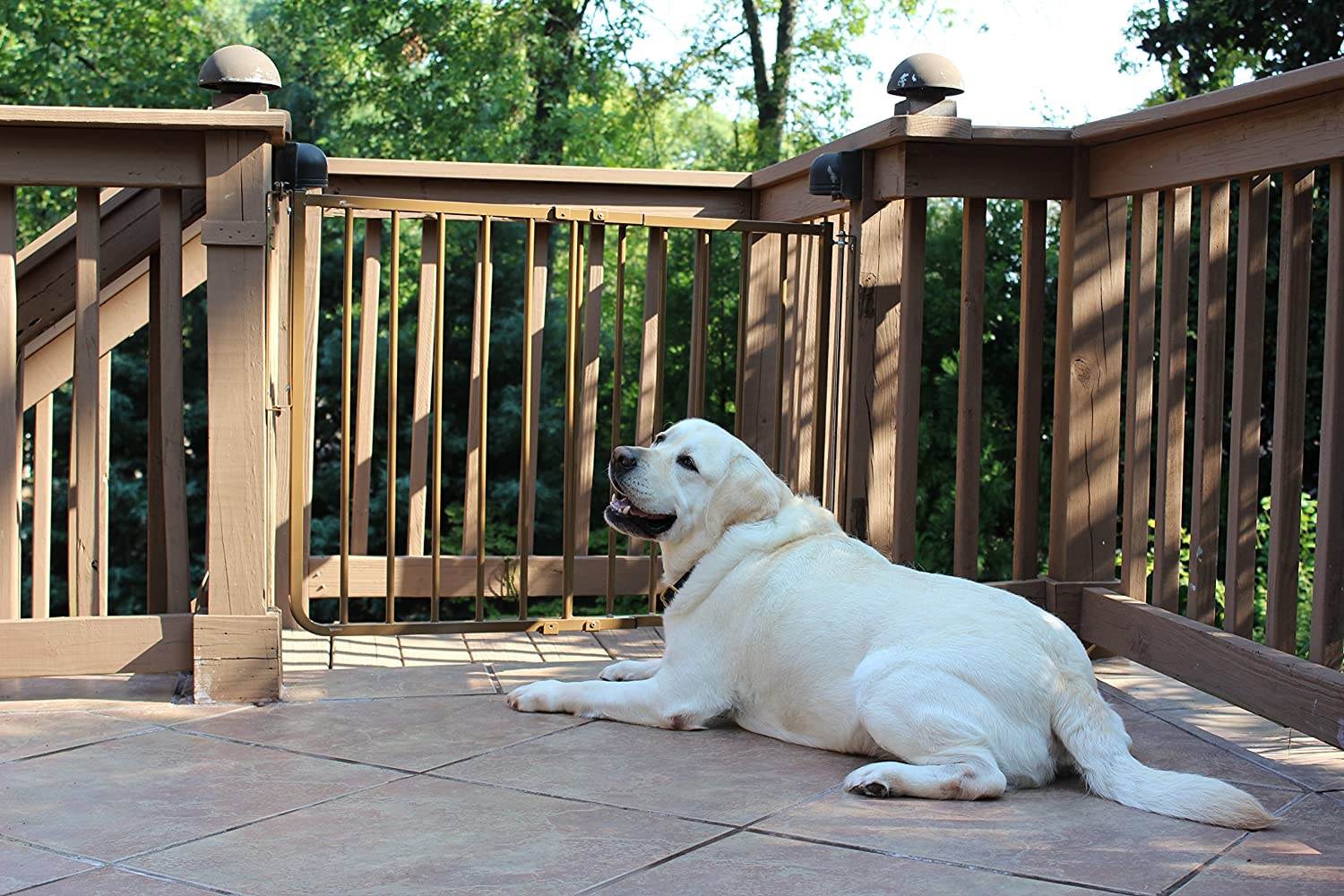 Outdoor Stair Pet Gate - Cardinal Stairway Special Outdoor Pet Gate Pet Gates Cardinal 
