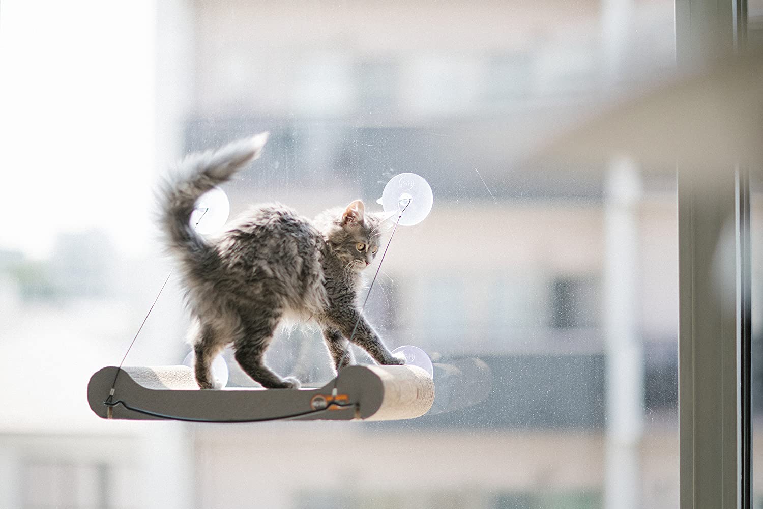 Cat Scratcher Window Sill - K&H Pet Products EZ Mount Cat Scratcher Kitty Sill K&H Pet Products 