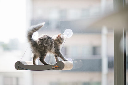 Cat Scratcher Window Sill - K&H Pet Products EZ Mount Cat Scratcher Kitty Sill K&H Pet Products 