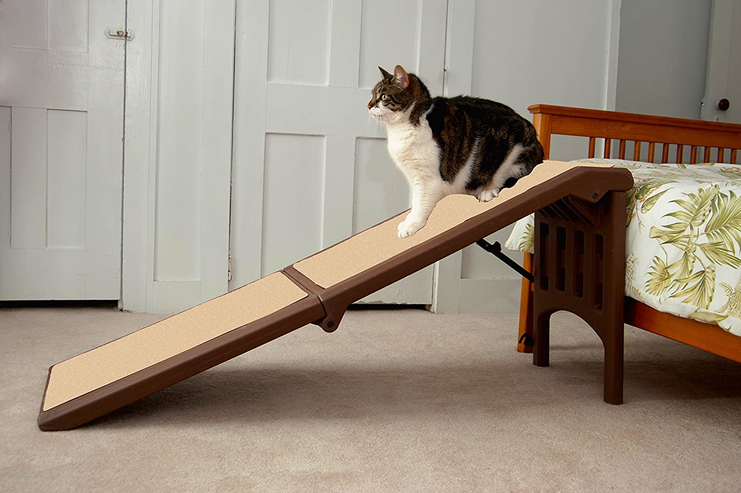 Free Standing Pet Ramp