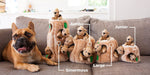 Squirrel Dog Toy - Hide and Seek Interactive Dog Toy Outward Hound 