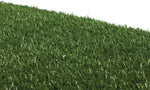 Artificial Grass Pee Pad - Prevue Pet Products Tinkle Turf Pet Waste Disposal Prevue Hendryx 