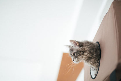 Door Hanging Cat House - 57" x 22" x 12" - K&H Pet Products Hanging Feline Funhouse K&H Pet Products 