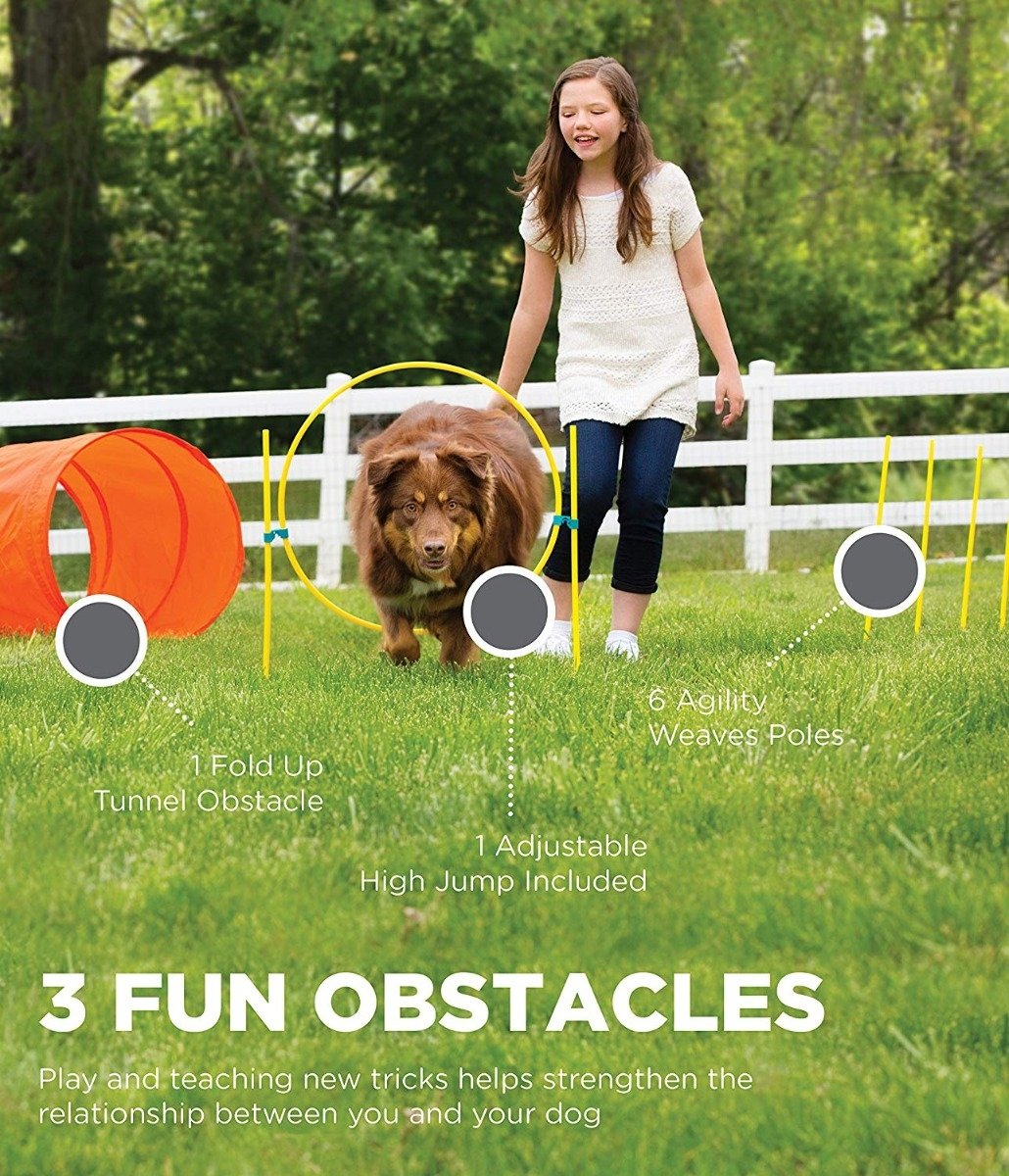 Outdoor Dog Agility Starter Kit - Outward Hound Outward Hound 