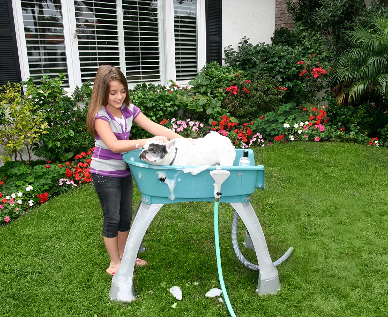 Elevated Dog Bath and Grooming Center - Booster Bath Booster Bath 