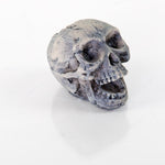 Decorative Human Skull BioBubble 