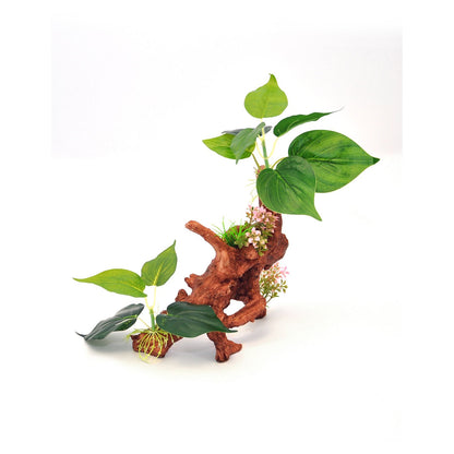 Decorative Ficus BioBubble 