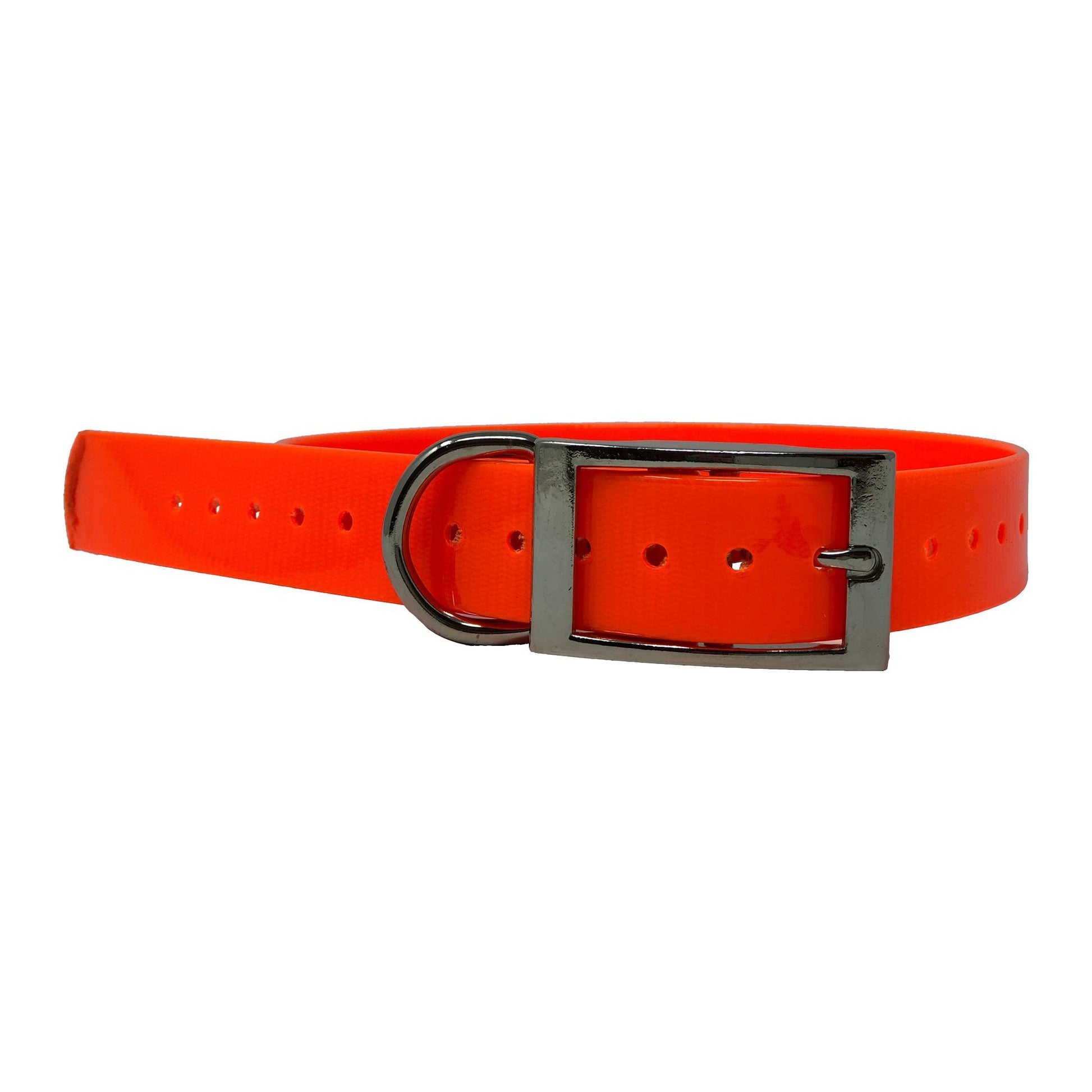 Replacement Collar Strap 1" The Buzzard's Roost 