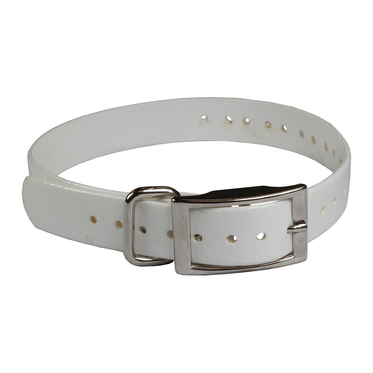 Replacement Collar Strap 1" The Buzzard's Roost 