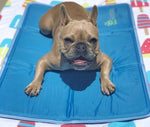 Cooling Pet Pad by The Green Pet Shop InfiniteWags 