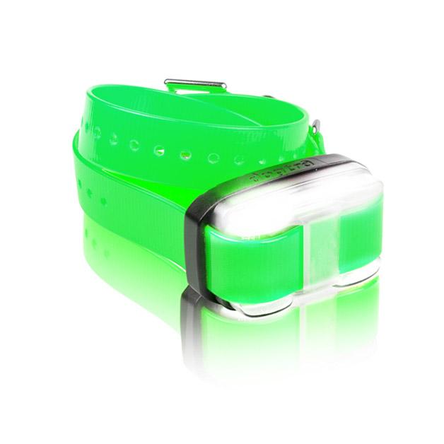 EDGE 1 Mile Extra Dog Collar Dogtra 