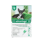 Flea Control for Dogs and Puppies Under 10 lbs 6 Month Supply Advantage 