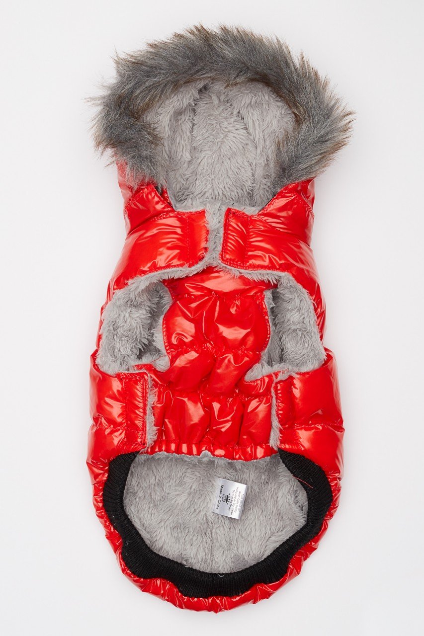 Red Winter Dog Jacket with Hood - Hip Doggie Elite Reflective Coat - Red Hip Doggie 