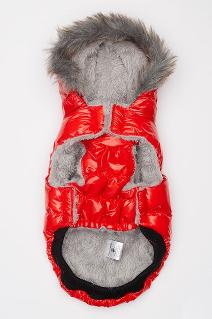 Red Winter Dog Jacket with Hood - Hip Doggie Elite Reflective Coat - Red Hip Doggie 