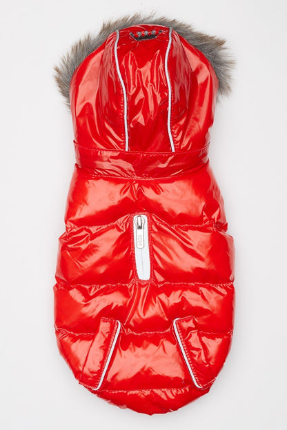Red Winter Dog Jacket with Hood - Hip Doggie Elite Reflective Coat - Red Hip Doggie 