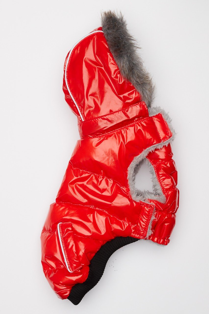 Red Winter Dog Jacket with Hood - Hip Doggie Elite Reflective Coat - Red Hip Doggie 