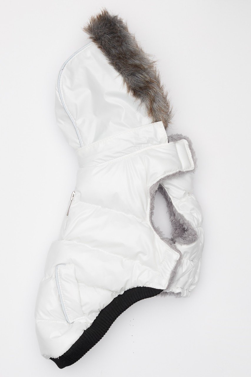 White Winter Dog Jacket with Hood - Hip Doggie Elite Reflective Coat - White Hip Doggie 
