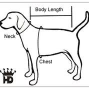 White Winter Dog Jacket with Hood - Hip Doggie Elite Reflective Coat - White Hip Doggie 