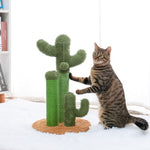 Cactus Cat Tower - Cute Cactus Cat Tree Scratching Post InfiniteWags 