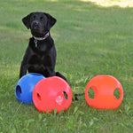 Virtually Indestructible Dog Ball - Paw-zzle Ball- Hueter Toledo Hueter Toledo 