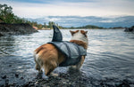 Dog Shark Life Jacket InfiniteWags 