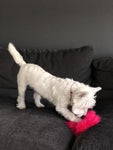 Interactive 2-in-1 Stuffed Plush Squeaky Dog Toy for Small/Medium/Large Dogs InfiniteWags 