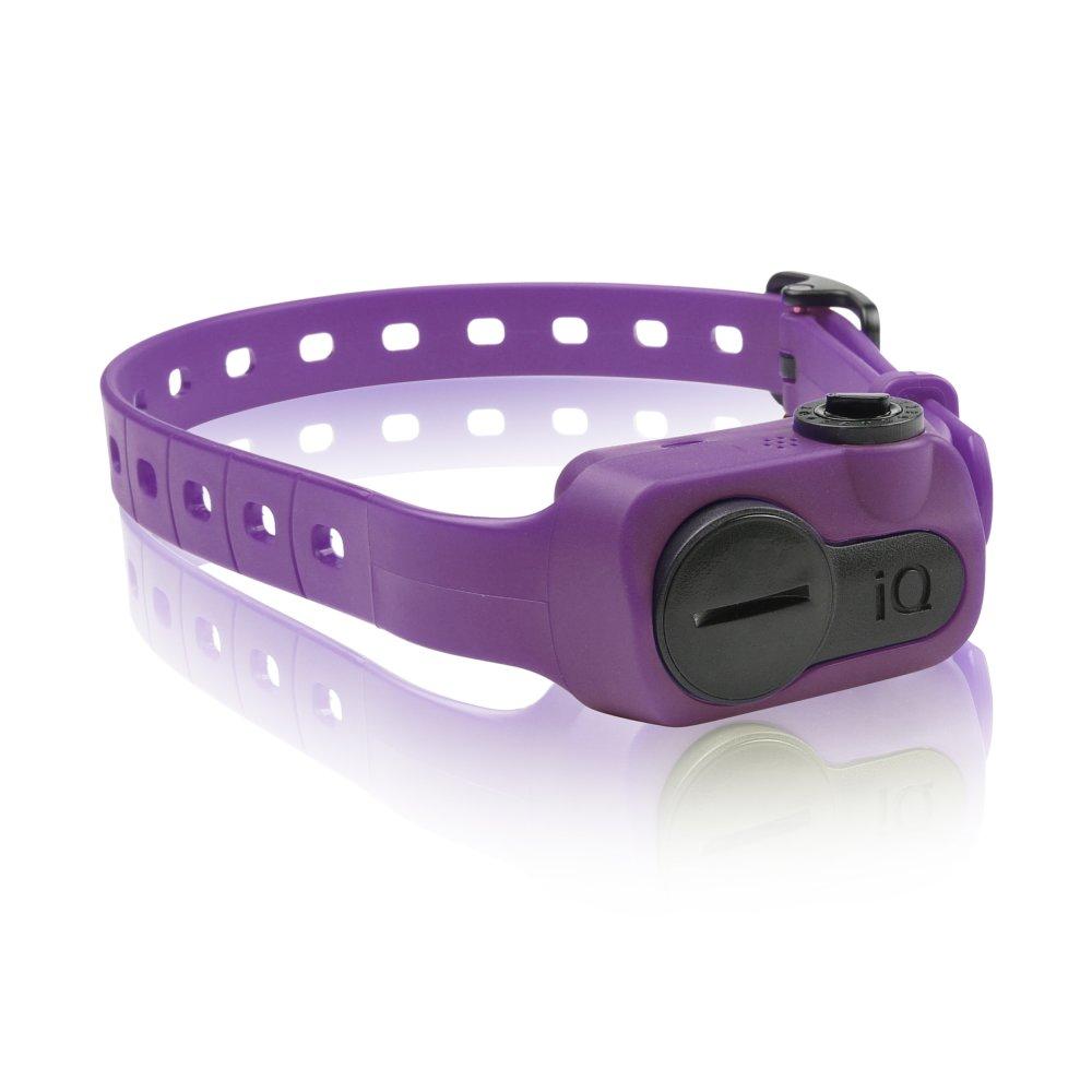 iQ No Bark Collar Dogtra 