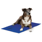 Coolin Pet Pad K&H Pet Products Extra Large Blue 