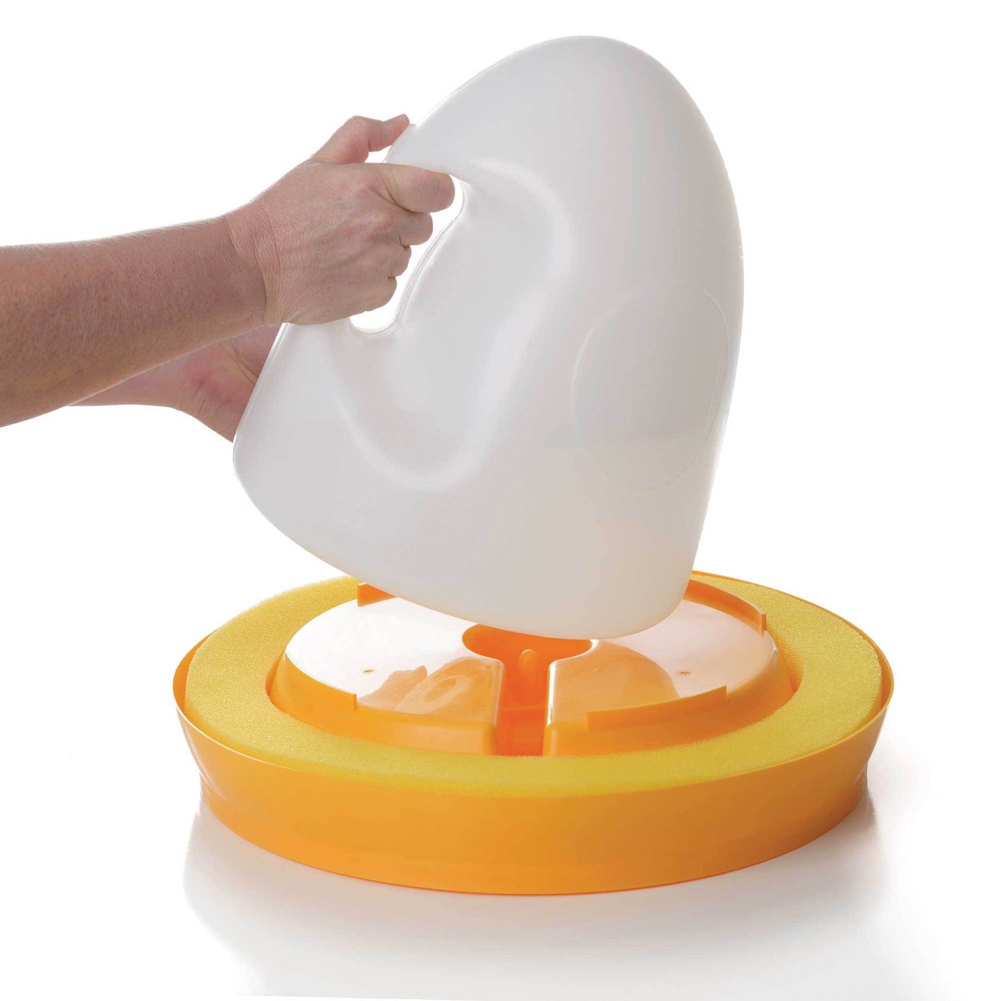 HoneyBee Waterer K&H Pet Products 