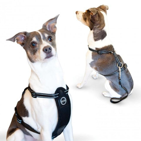 Travel Safety Pet Harness K&H Pet Products 