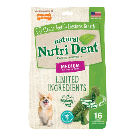 Nutri Dent Limited Ingredient Dental Chews Fresh Breath T-Rex Medium 16 count Nylabone 