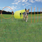 Dog Agility Starter Kit Outdoor Outward Hound 