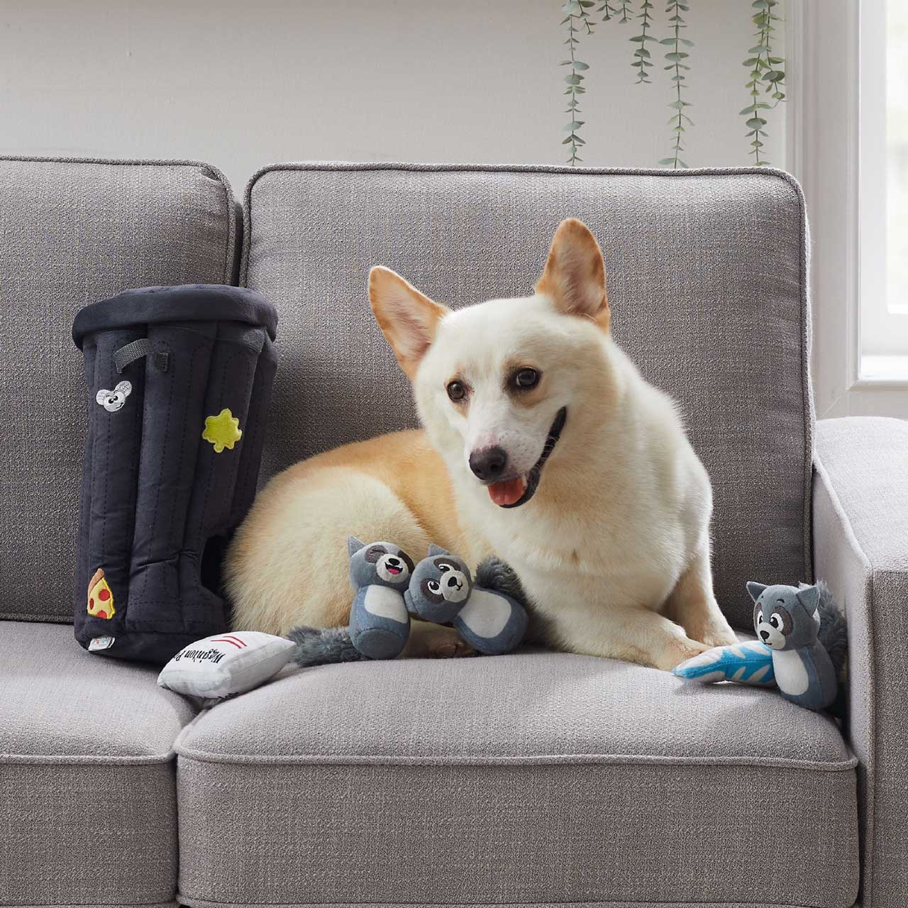 Hide A Raccoon Dog Toy - Outward Hound Hide A Raccoon Plush Dog Toy Outward Hound 