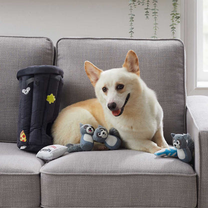 Hide A Raccoon Dog Toy - Outward Hound Hide A Raccoon Plush Dog Toy Outward Hound 