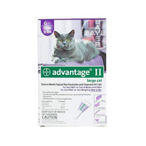 Flea Control for Cats and Kittens Over 9 lbs 6 Month Supply Advantage 