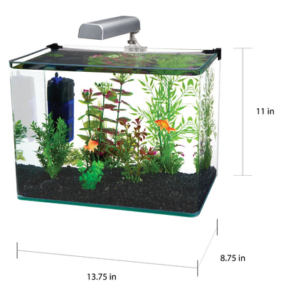 5 Gallon Glass Aquarium Kit - Penn Plax Radius 5 Gallon Glass Aquarium Kit Aquariums Penn Plax 