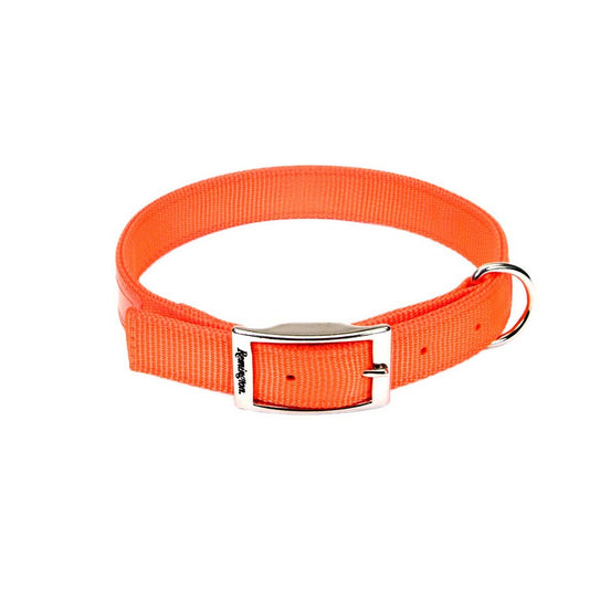 Double-Ply Reflective Hound Dog Collar Remington 