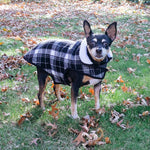 Pink Plaid Dog Jacket - The Worthy Dog Pink/Black Plaid Alpine Jacket Dog Sweaters TheWorthyDog 