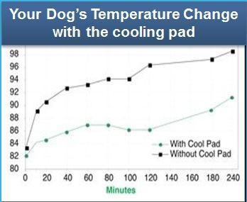 Cooling Pet Pad by The Green Pet Shop InfiniteWags 