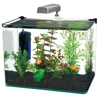 5 Gallon Glass Aquarium Kit - Penn Plax Radius 5 Gallon Glass Aquarium Kit Aquariums Penn Plax 