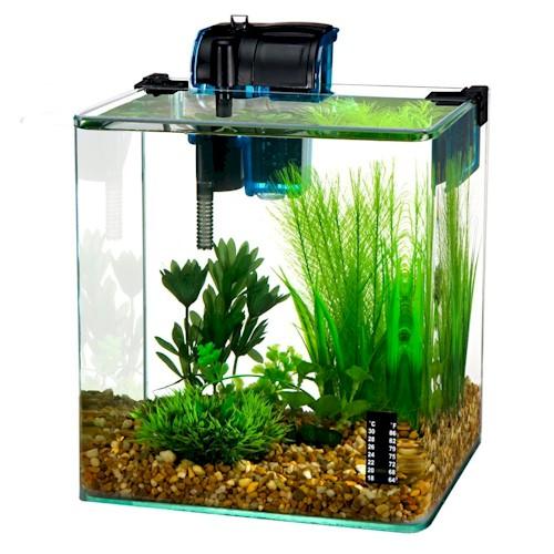 Desktop Aquarium Kit - 2.7 Gallon - Penn Plax Vertex Desktop Aquarium Kit Aquariums Penn Plax 