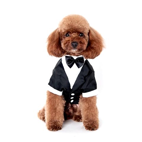 Dog Tuxedo - Bow Tie Dog Costume InfiniteWags XL 