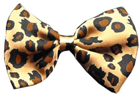 Dog Bow Tie Leopard InfiniteWags 