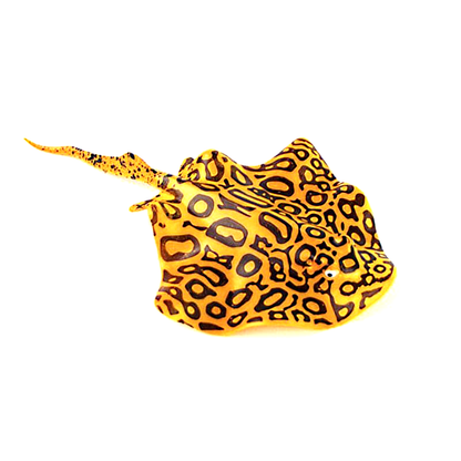 Glowing Stingray Aquarium Decor InfiniteWags Orange 