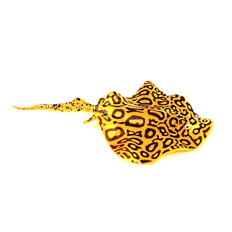 Glowing Stingray Aquarium Decor InfiniteWags 